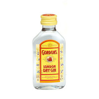 GORDONS GIN L/DON DRY     MINS