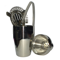 5-PIECE STAINLESS STEEL COCKTAIL SHAKER SET
