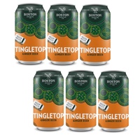 BOSTON BREW GINGER BEER  6x375ML